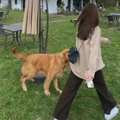 欢乐的欺骗